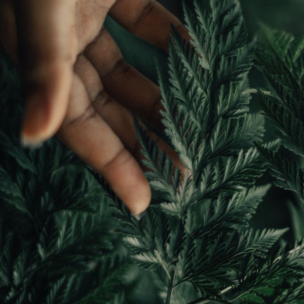 Ecoresponsabilité et engagements de JVD